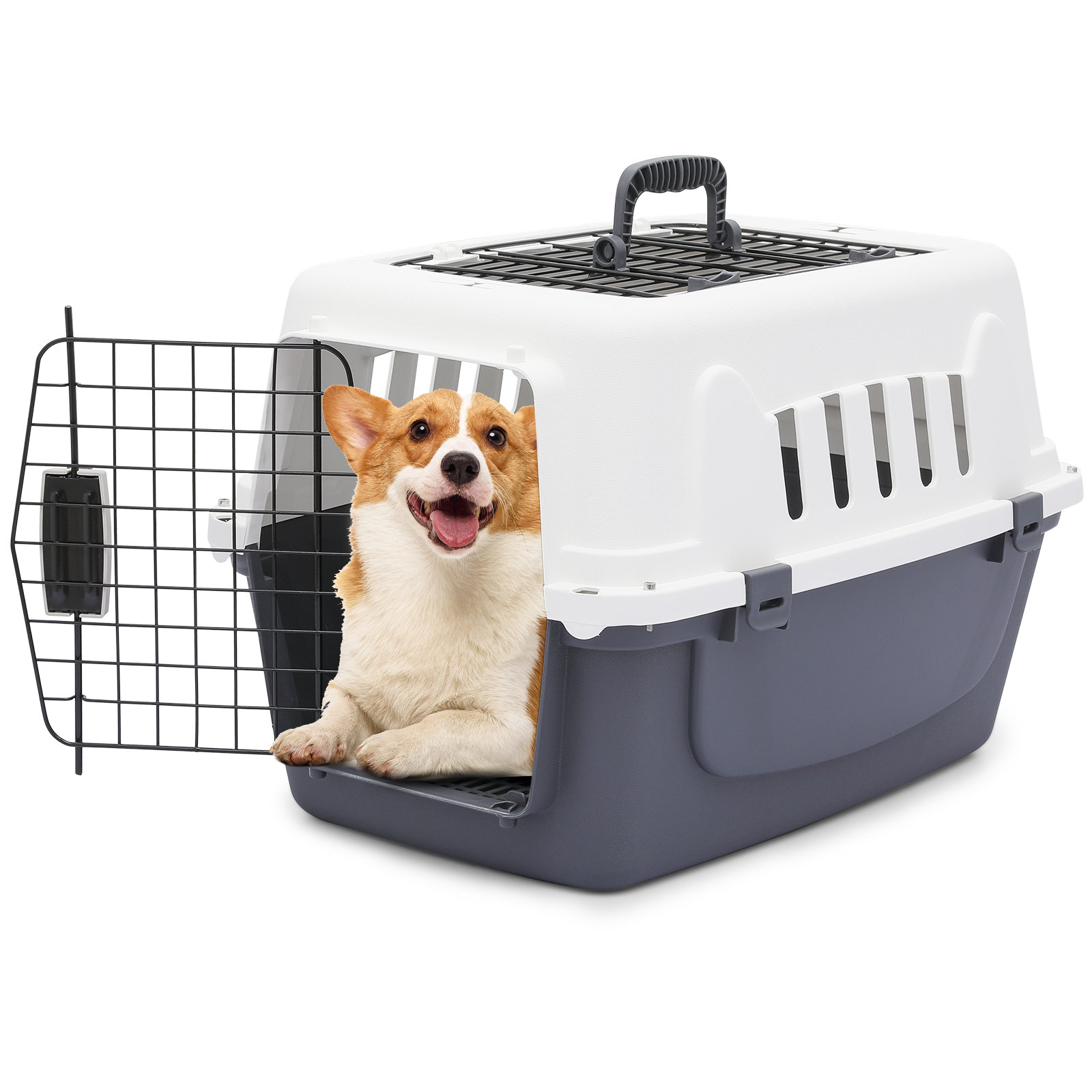 Tucker Murphy Pet Pet Travel Carrier Portable Dog Travel Kennel Handbag Cage Transport Box with Handle 2 Doors Wayfair